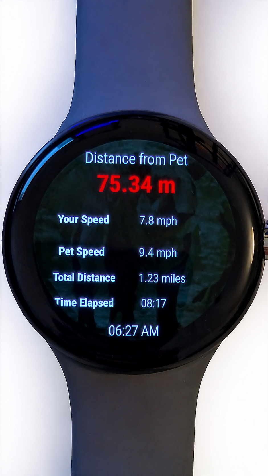 PetHunter Wear OS running training app